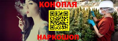 трава Гатчина
