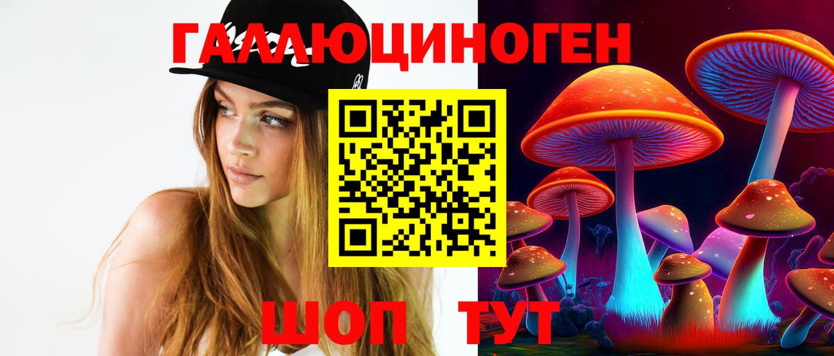 Десногорск  Псилоцибиновые грибы Cubensis  наркота  Псилоцибиновые грибы Psilocybine cubensis  Вход с VPN 